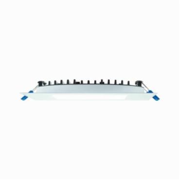 Lotus LED Lights LY6S-30K-WH